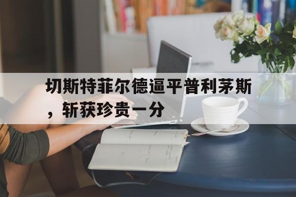 切斯特菲尔德逼平普利茅斯，斩获珍贵一分
